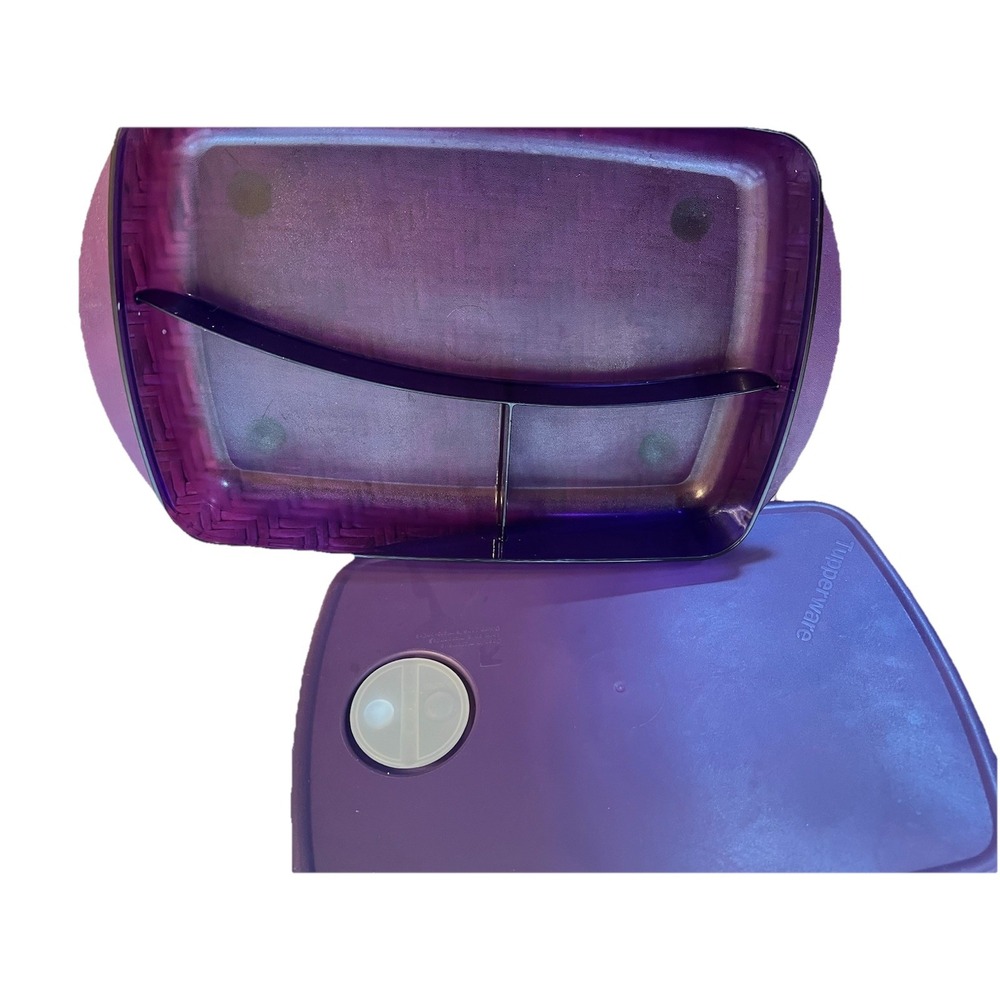 Tupperware Rock N Serve 3 Section Divided Vented Purple Microwaveable 3990A-1